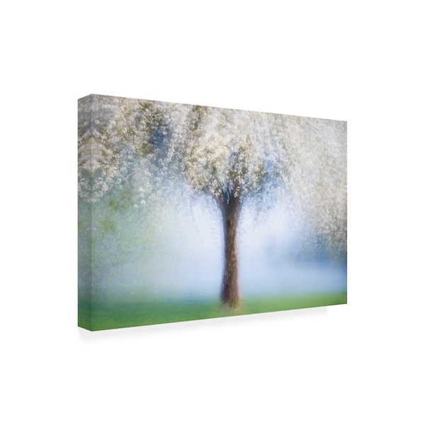 Martina Stutz 'Dreamy Spring' Canvas Art,30x47